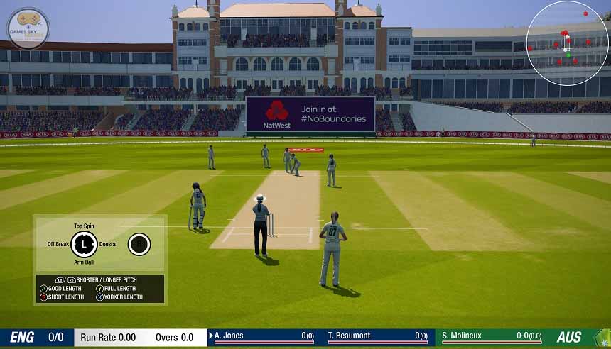 Cricket 19 Game Download Free Compressed